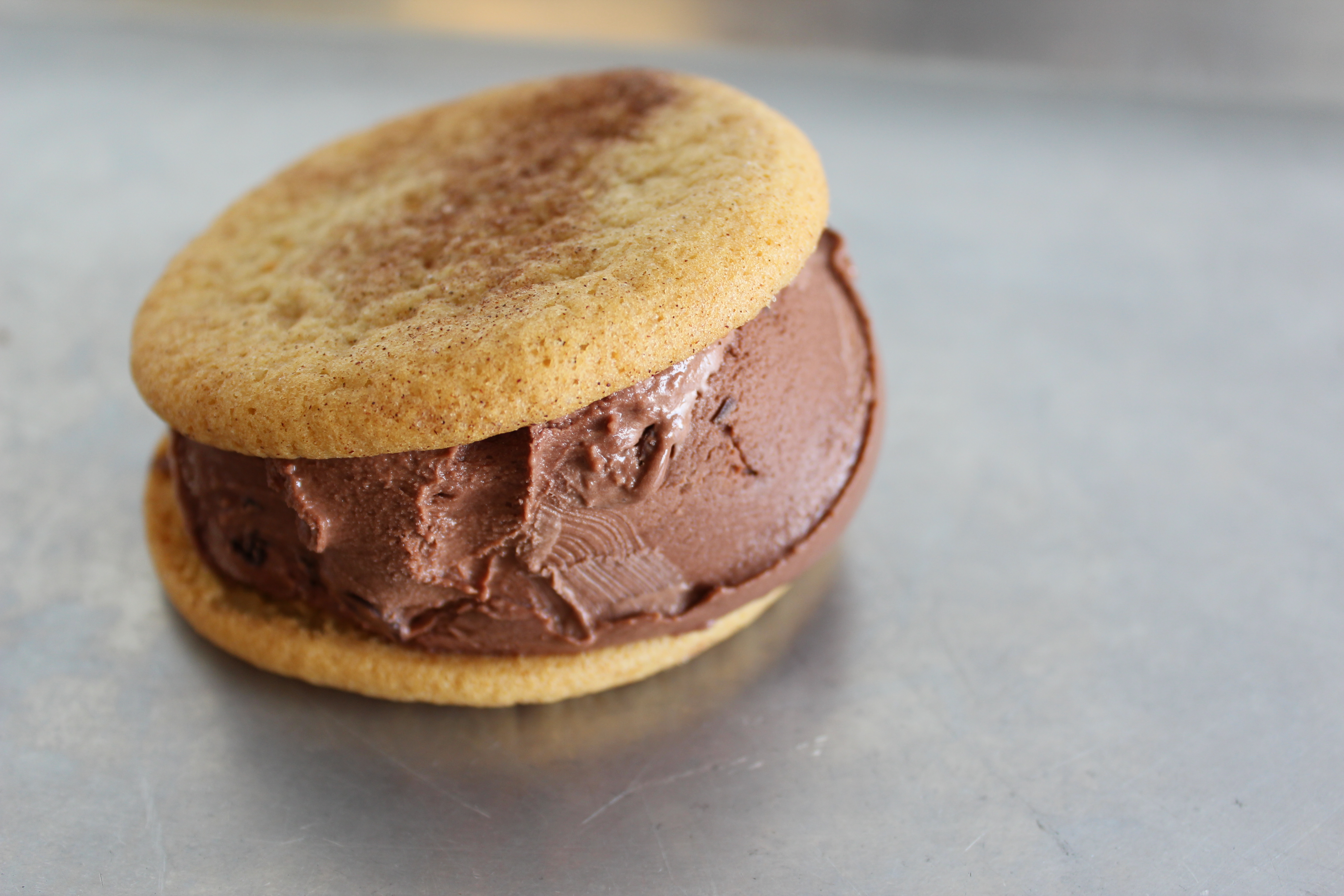 Snickerdoodle Cookie + Patrón XO Dark Salted Chocolate Ice Cream