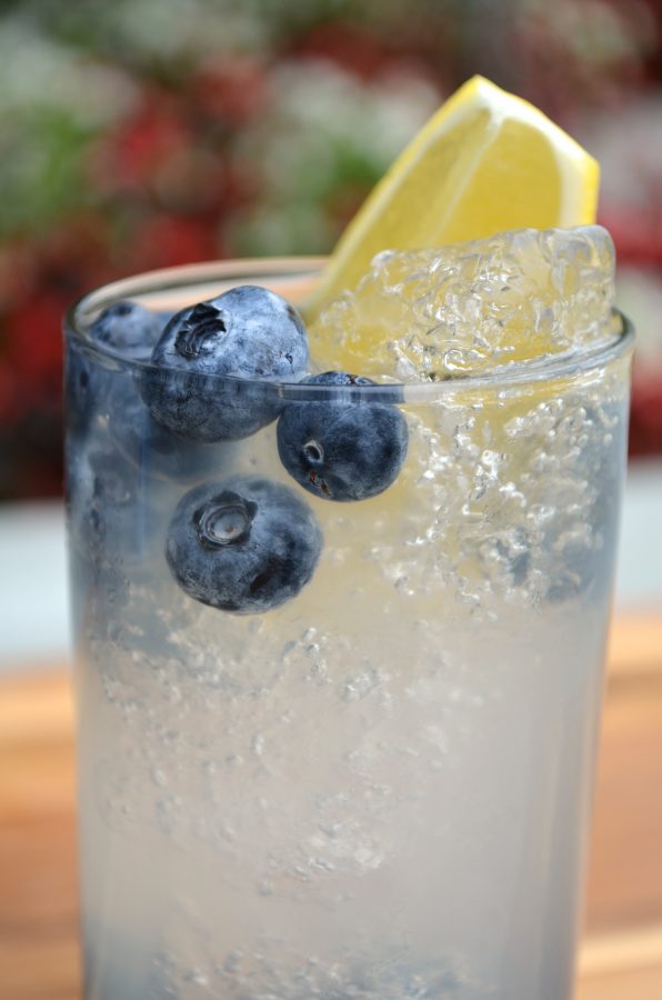 Nolet's Silver Blueberry Lemon Collins