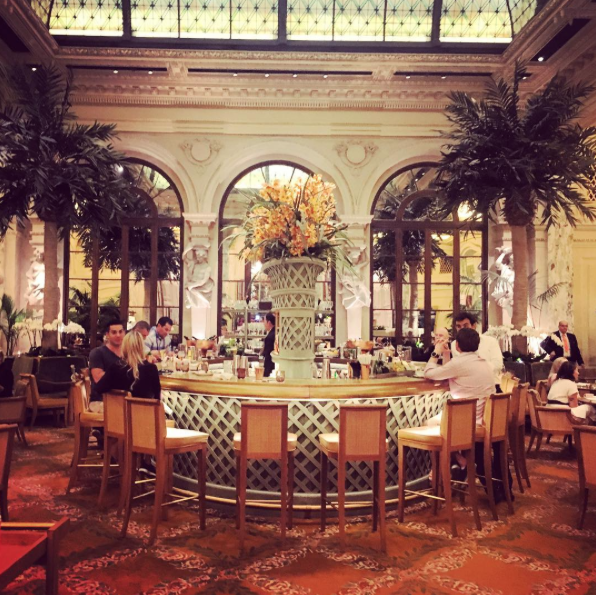 The Palm Court at The Plaza Hotel