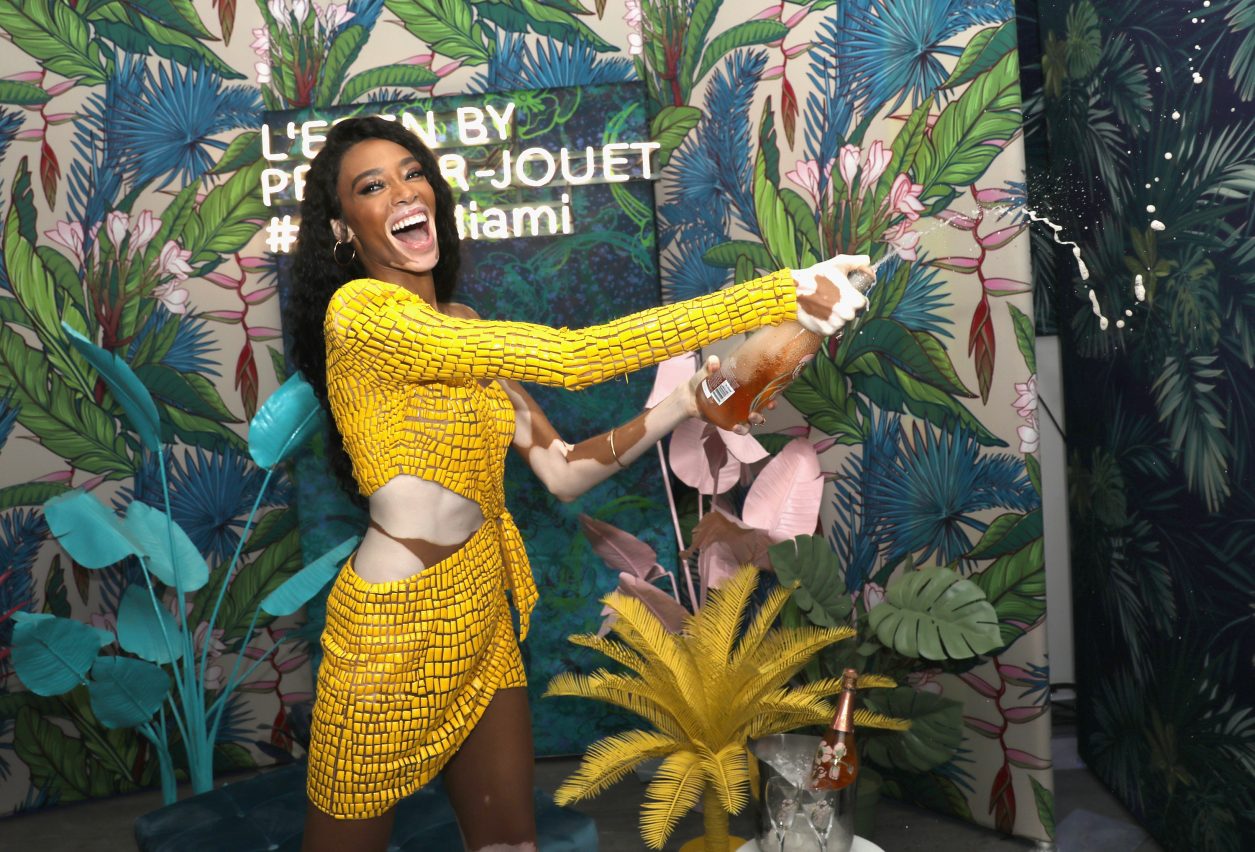 MIAMI BEACH, FL - DECEMBER 05:  Model Winnie Harlow attends L'Eden By Perrier-Jouët on December 5, 2018 in Miami Beach, Florida.  (Photo by Aaron Davidson/Getty Images for Perrier-JouÃ«)