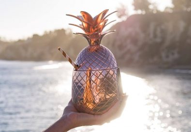 Thania_Peck_Absolut_Elyx_Copper_Pineapple_on_the_beach_2048x