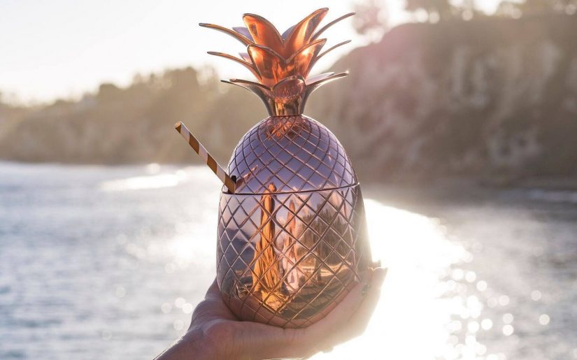 Thania_Peck_Absolut_Elyx_Copper_Pineapple_on_the_beach_2048x
